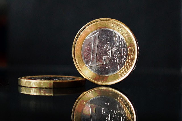 euro mince
